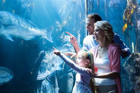 Pine shores aquarium - Feb 22, 2022 · Table of Contents: Here Are 10 of the Best Aquariums in North Carolina. 1. North Carolina Aquarium on Roanoke Island. 2. North Carolina Aquarium at Fort Fisher. 3. North Carolina Aquarium at Pine Knoll Shores. 4. 